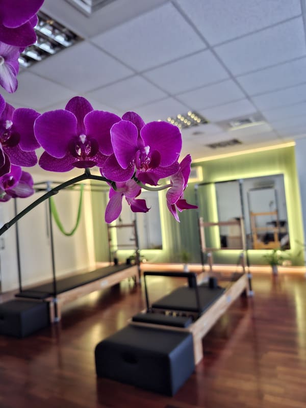 Burcu Yanardağ Pilates Studio — Çekmeköy pilates stüdyosu